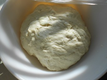 dscn5004